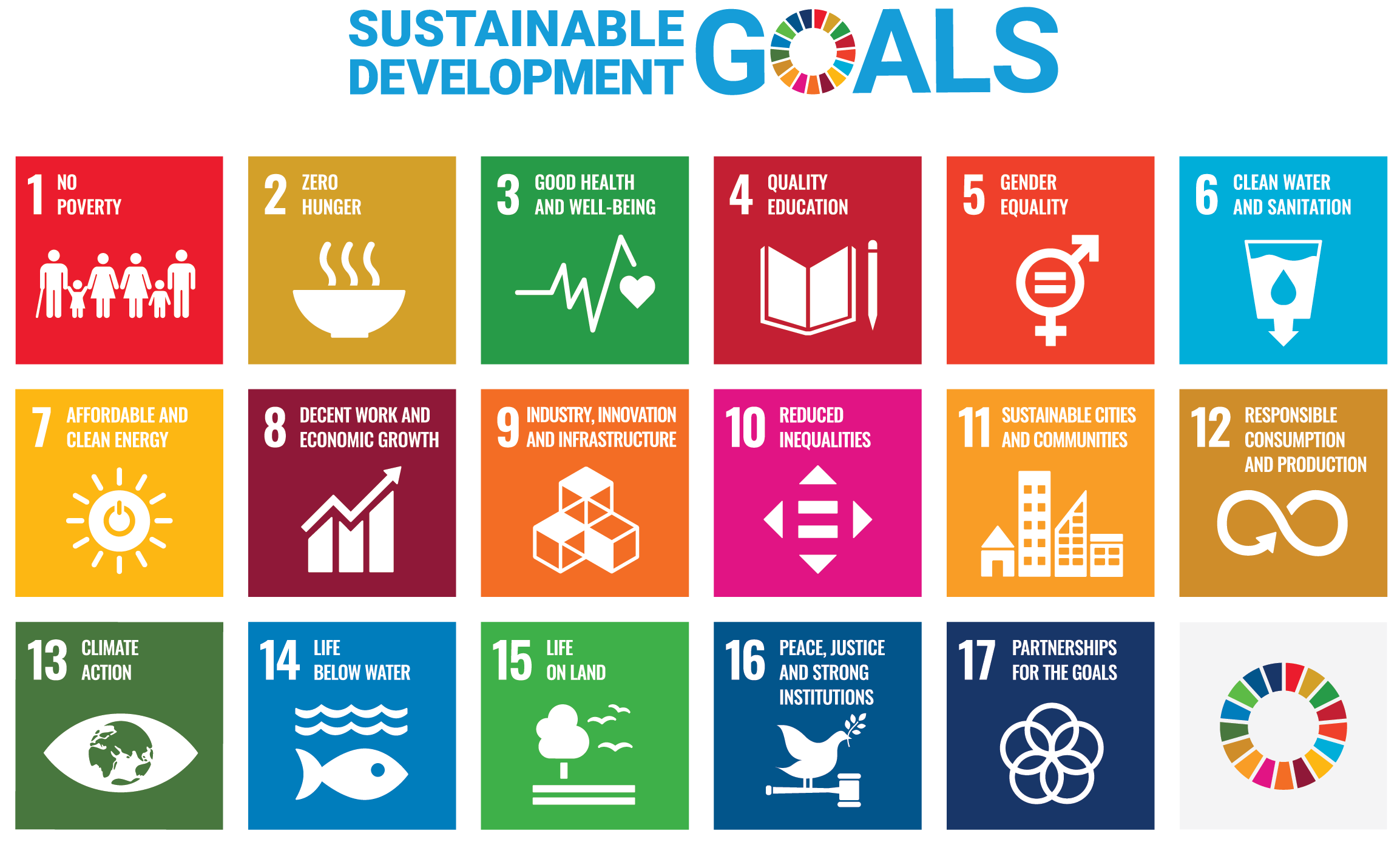 United Nations Sustainable Development Goals (SDGs)